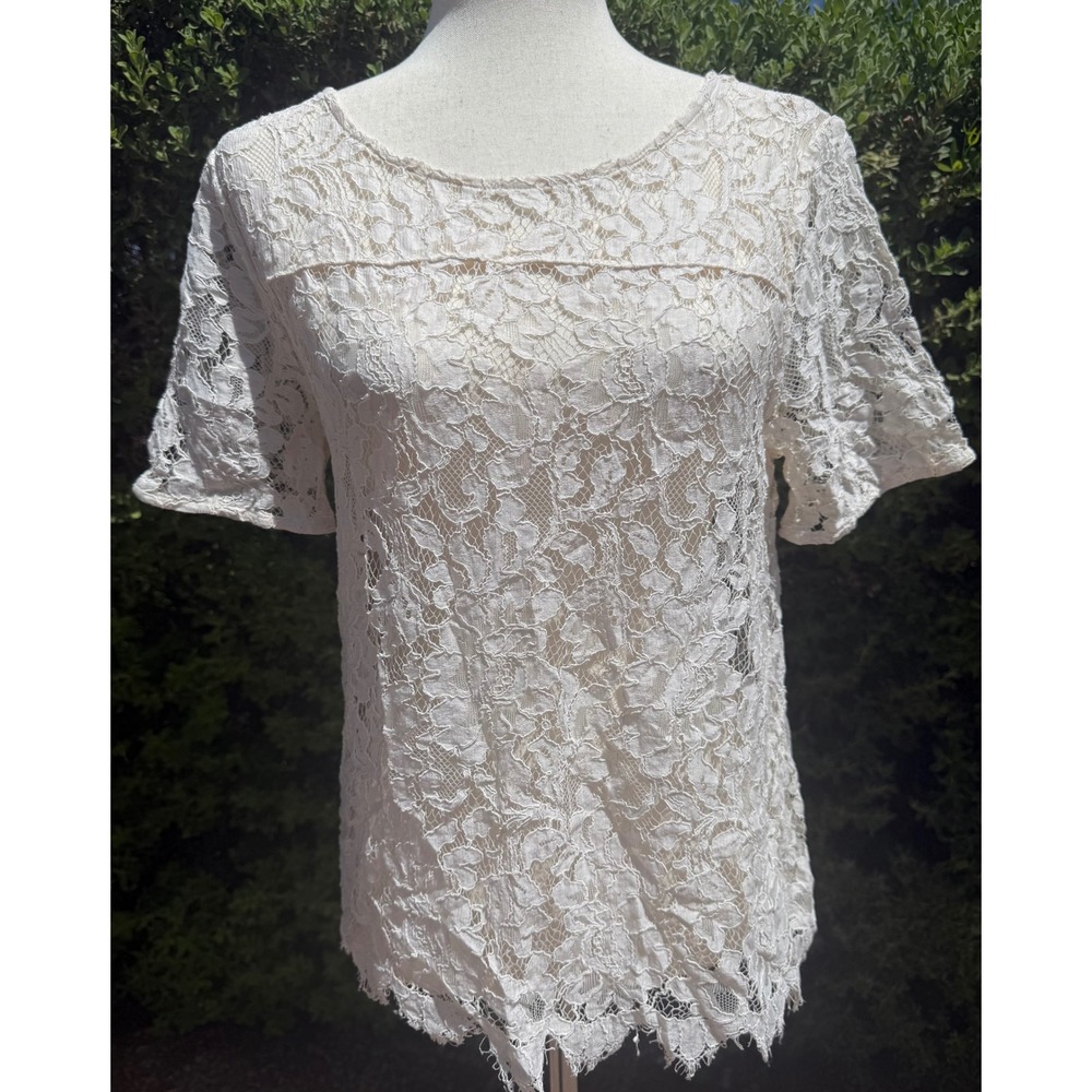 Ann Taylor LOFT Cream Floral Lace Short Sleeve Blouse Scalloped Hem Ivory M